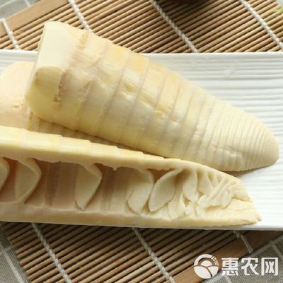 清水冬笋 土特产中的脆嫩佳品