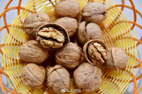 农副产品走出新疆戈壁 散装食品的市场突围与可持续发展