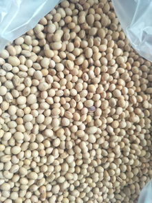 正宗本地农副产品的价值与优势